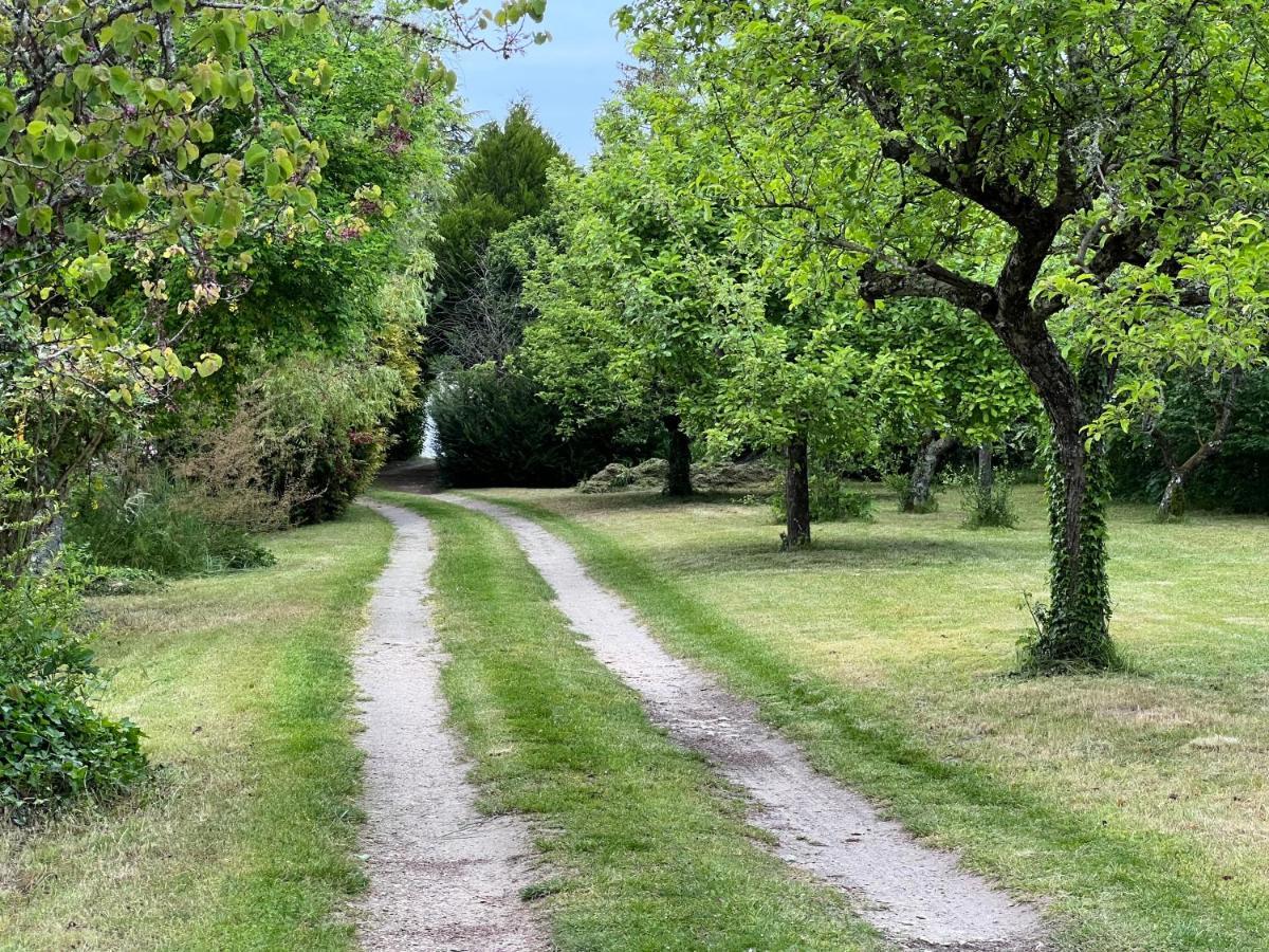 Les Jardins De L'Hermitage Cellettes  Exterior photo