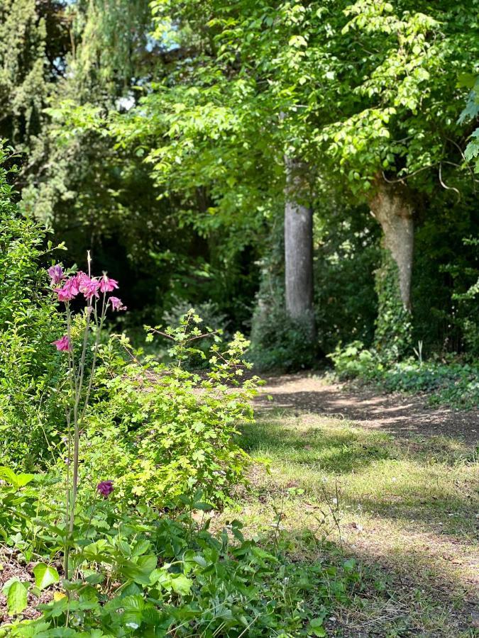 Les Jardins De L'Hermitage Cellettes  Exterior photo